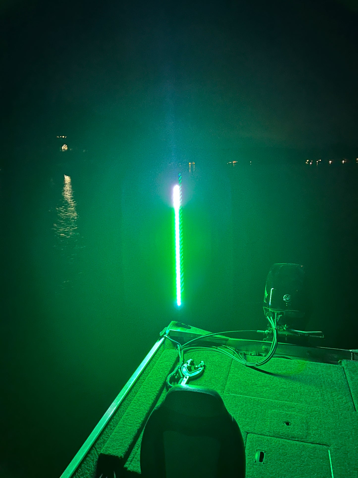 LED Boat Whips