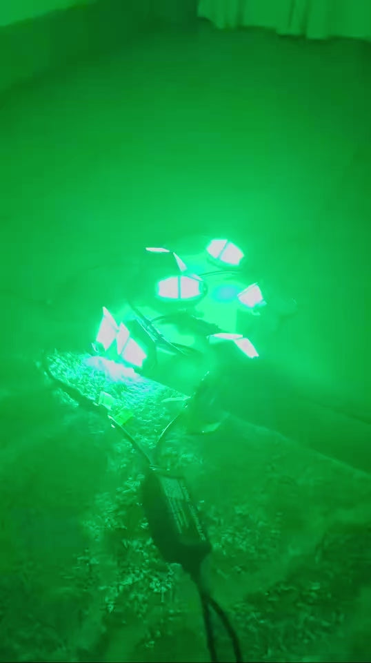 Rookie Series Rock Lights – Blue Line Whips